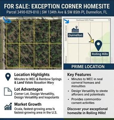 SW 134 AVE, DUNNELLON, FL, 34432
