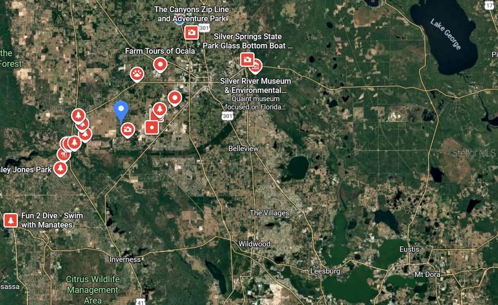 SW 134 AVE, DUNNELLON, FL, 34432