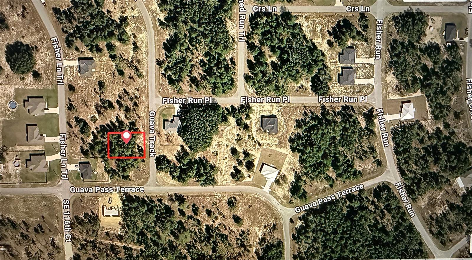 GUAVA TRACK, OCKLAWAHA, FL, 32179