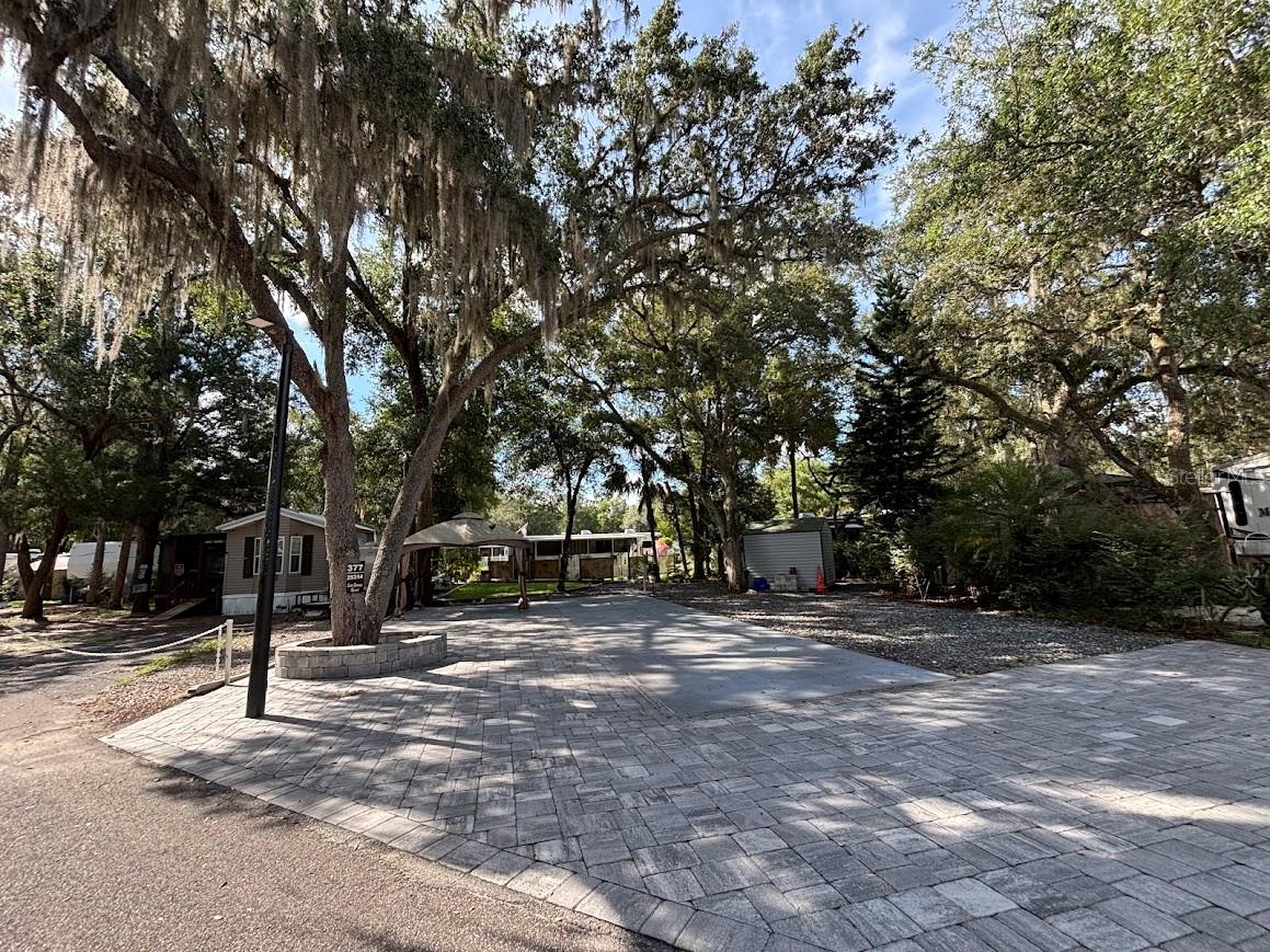 25314 NE 141ST ST #377, SALT SPRINGS, FL, 32134