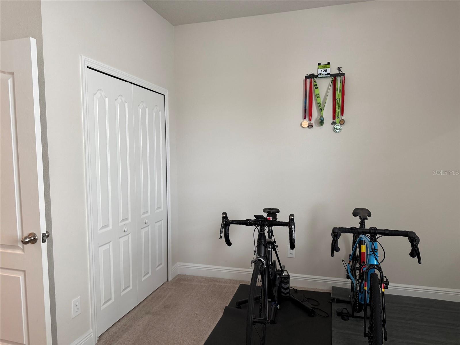 3635 CRAWLEY DOWN LOOP, SANFORD, FL, 32773