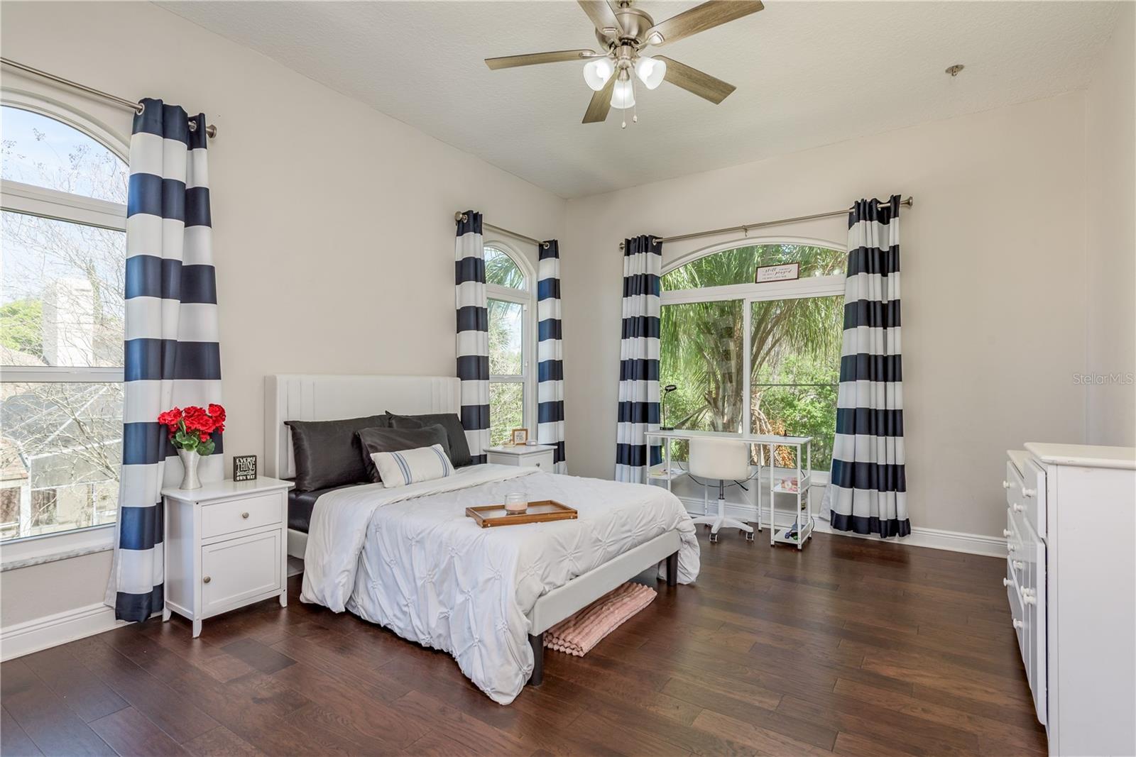 4010 EXECUTIVE DR, PALM HARBOR, FL, 34685