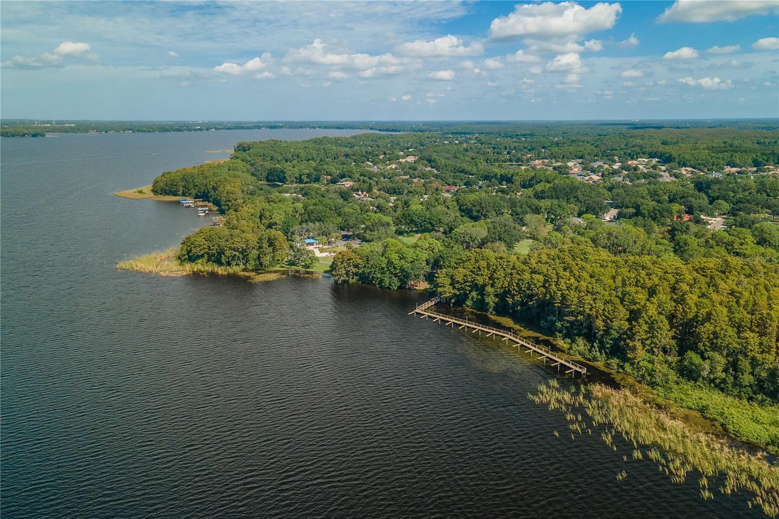 4010 EXECUTIVE DR, PALM HARBOR, FL, 34685