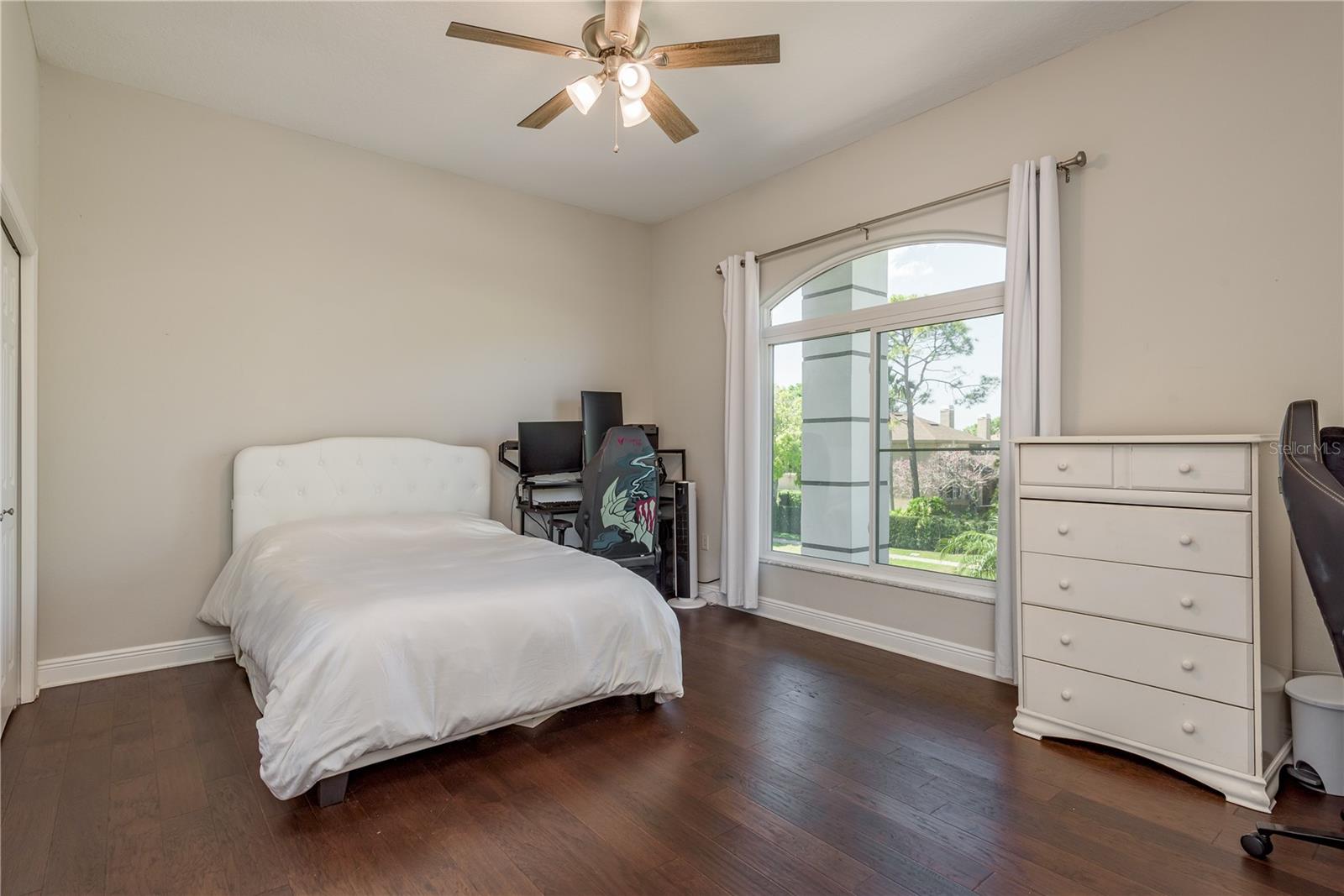 4010 EXECUTIVE DR, PALM HARBOR, FL, 34685