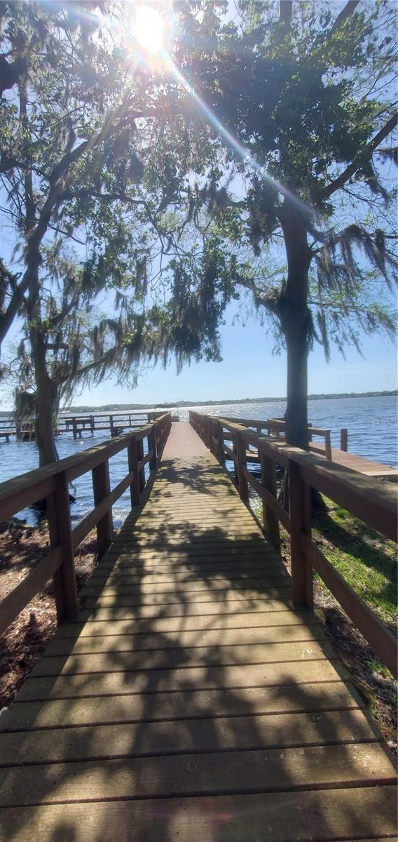 4010 EXECUTIVE DR, PALM HARBOR, FL, 34685