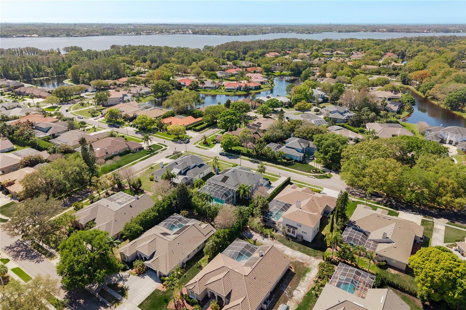4010 EXECUTIVE DR, PALM HARBOR, FL, 34685