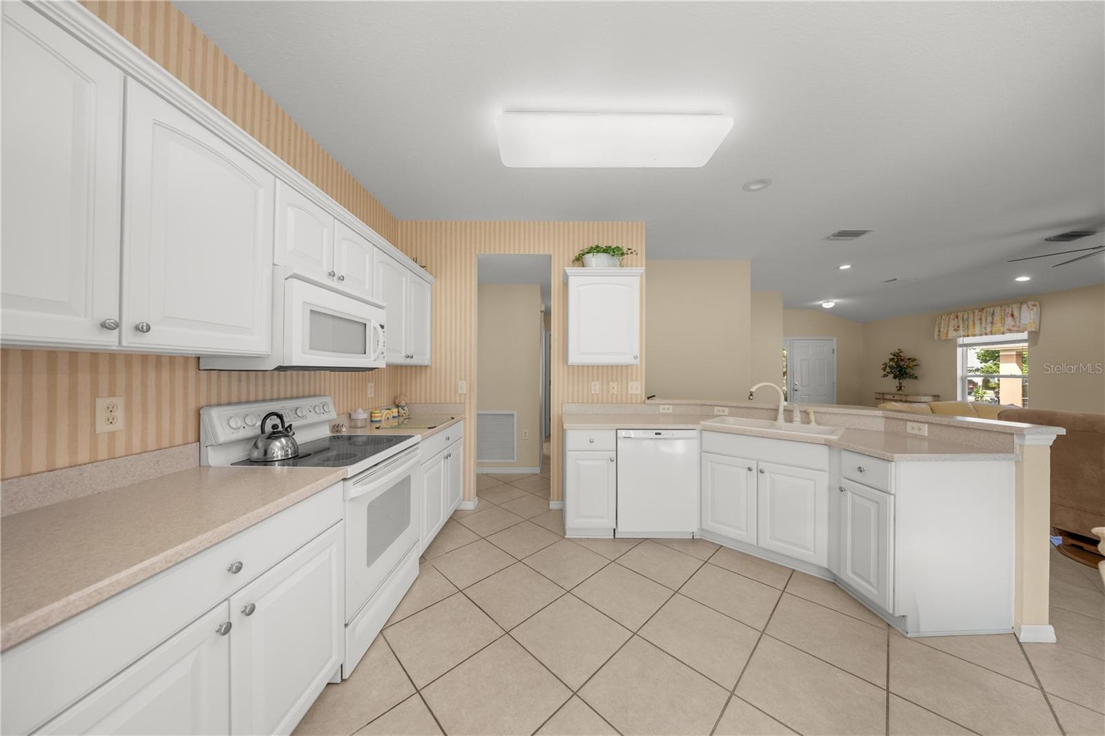 13421 SE 92ND COURT RD, SUMMERFIELD, FL, 34491