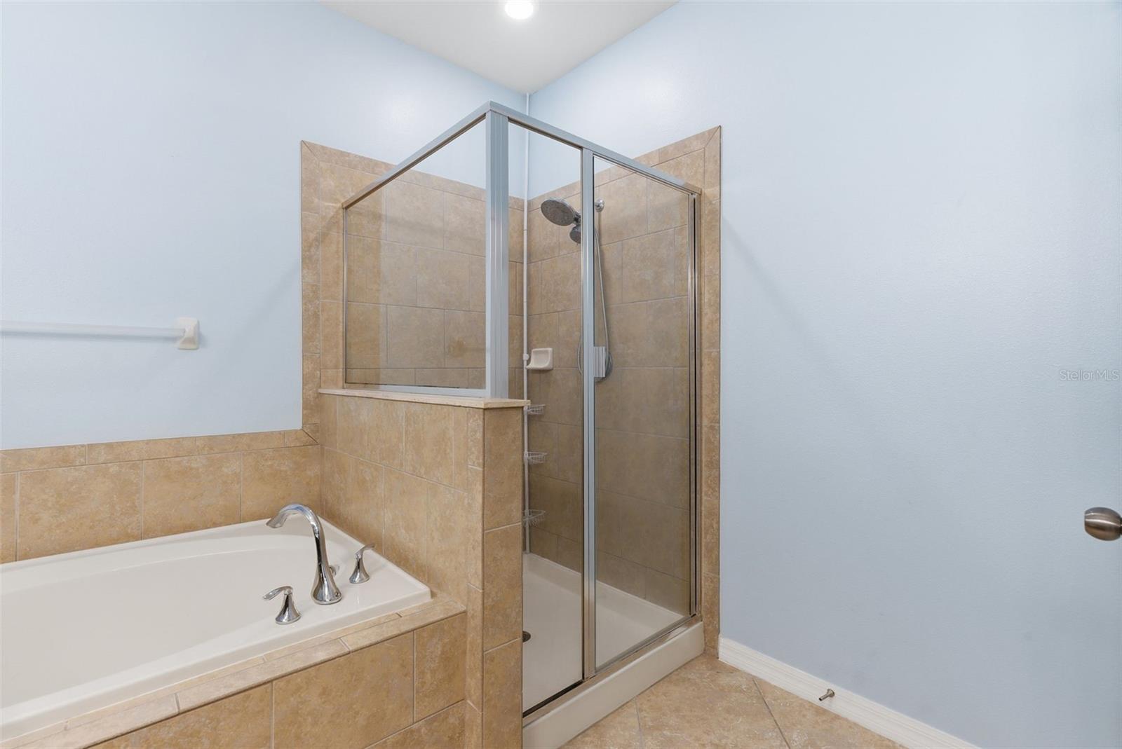 12423 BALLENTRAE FOREST DR, RIVERVIEW, FL, 33579
