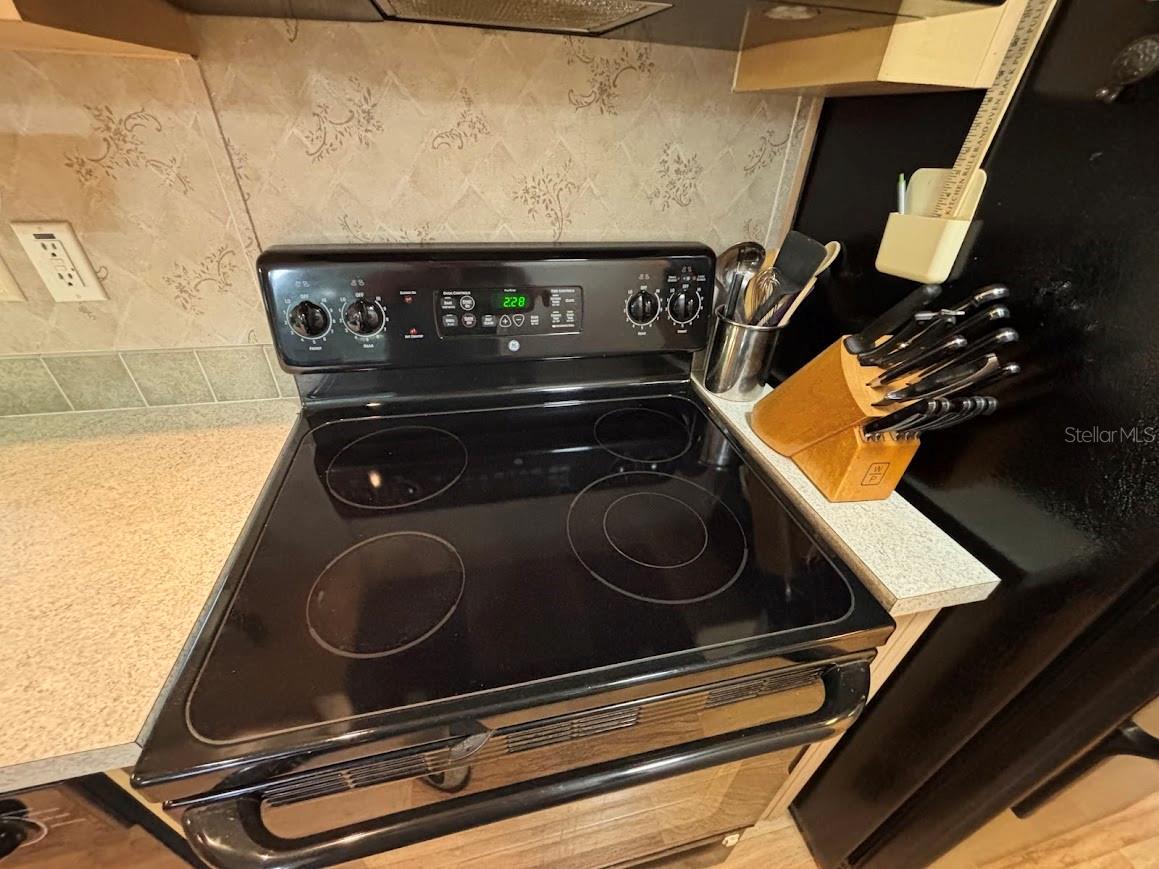 25246 NE 143RD ST #181, SALT SPRINGS, FL, 32134