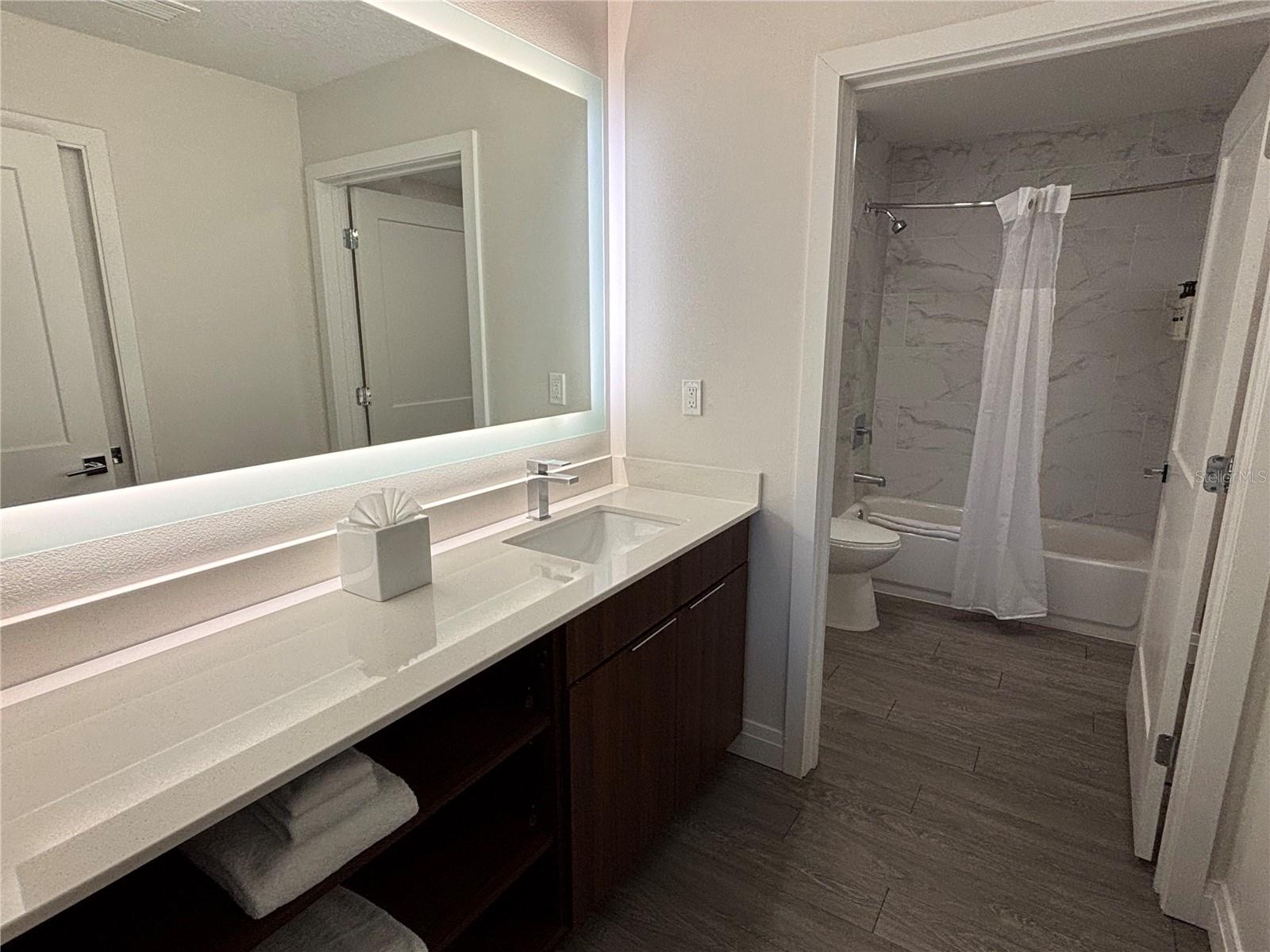 14501 GROVE RESORT AVE #2532, WINTER GARDEN, FL, 34787