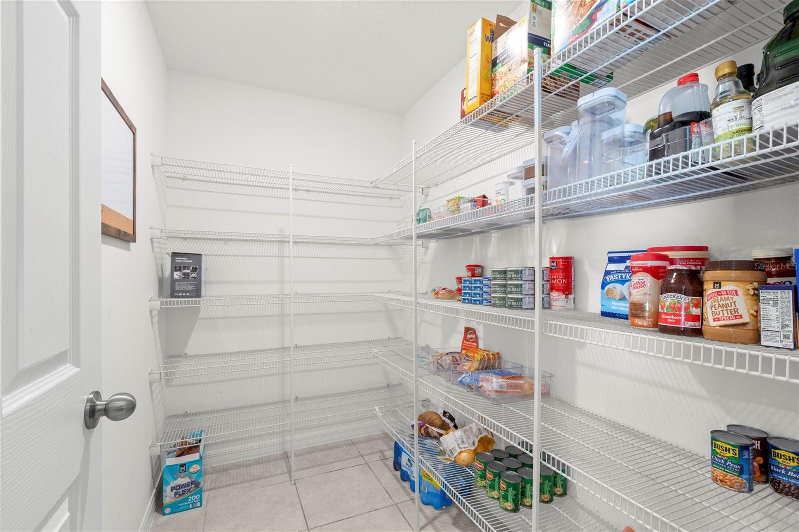 11904 FIELD THISTLE CT, RIVERVIEW, FL, 33579