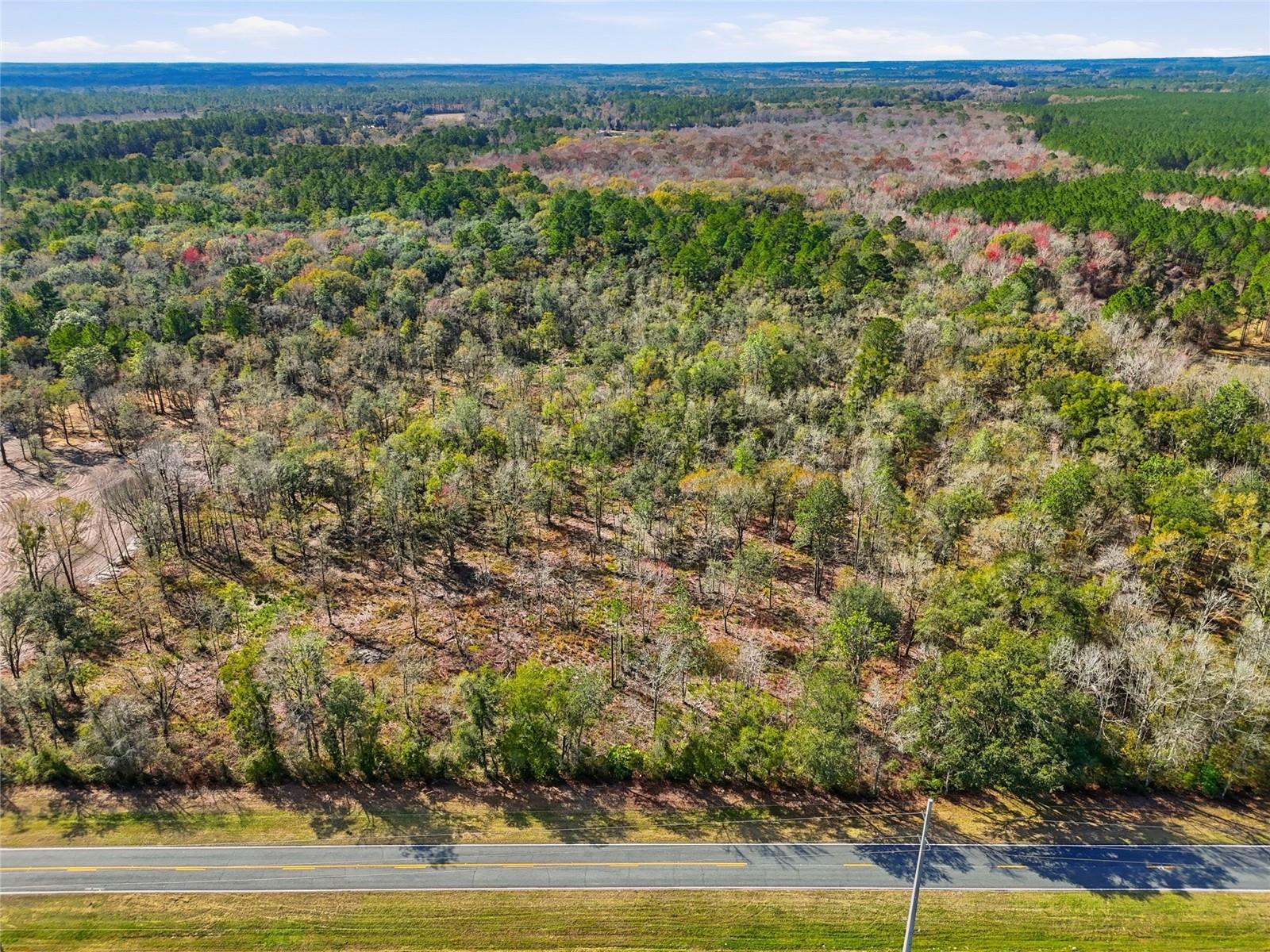 20994 SW COUNTY ROAD 18 #Lot 2, BROOKER, FL, 32622