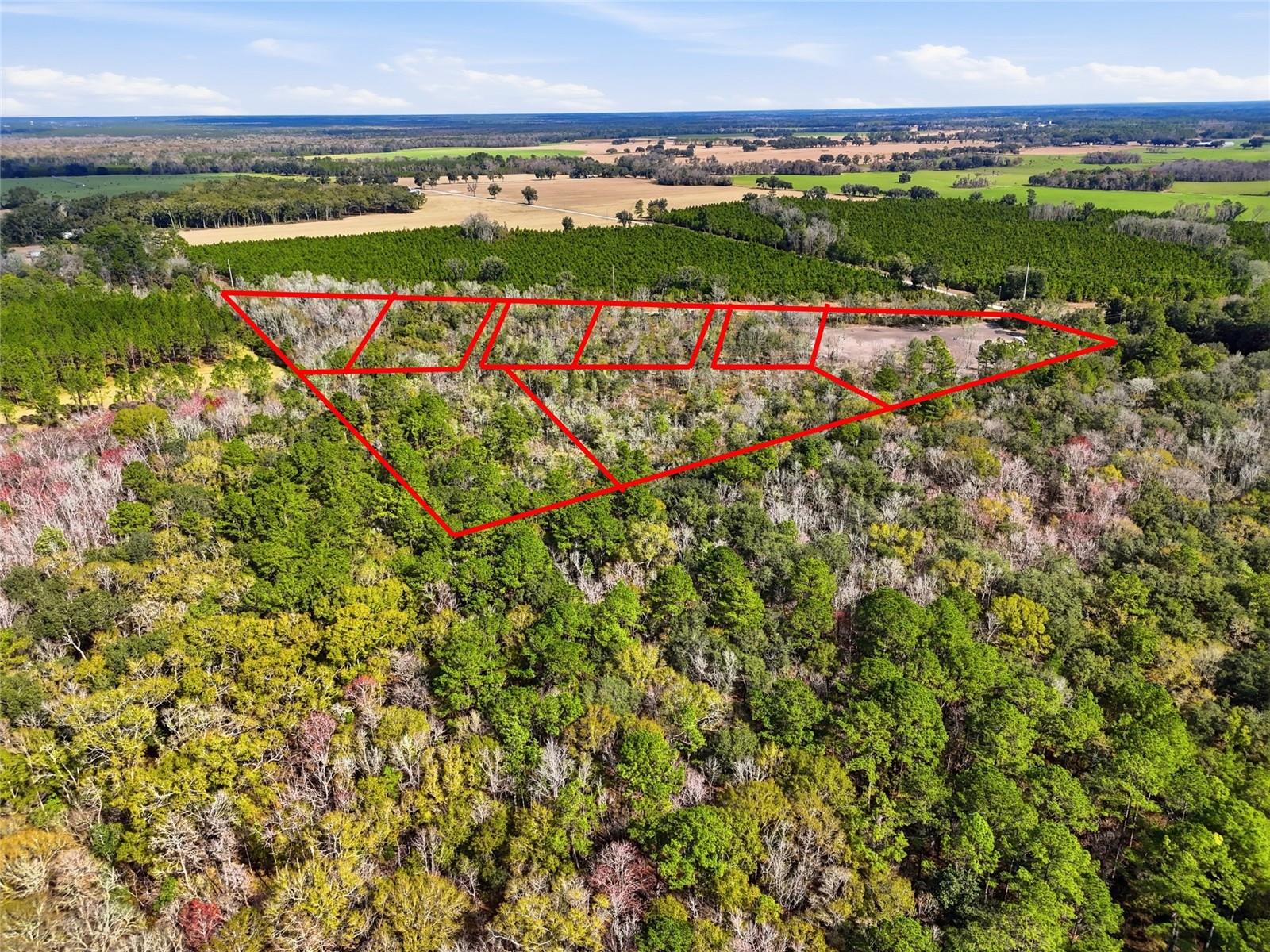 20994 SW COUNTY ROAD 18 #Lot 2, BROOKER, FL, 32622