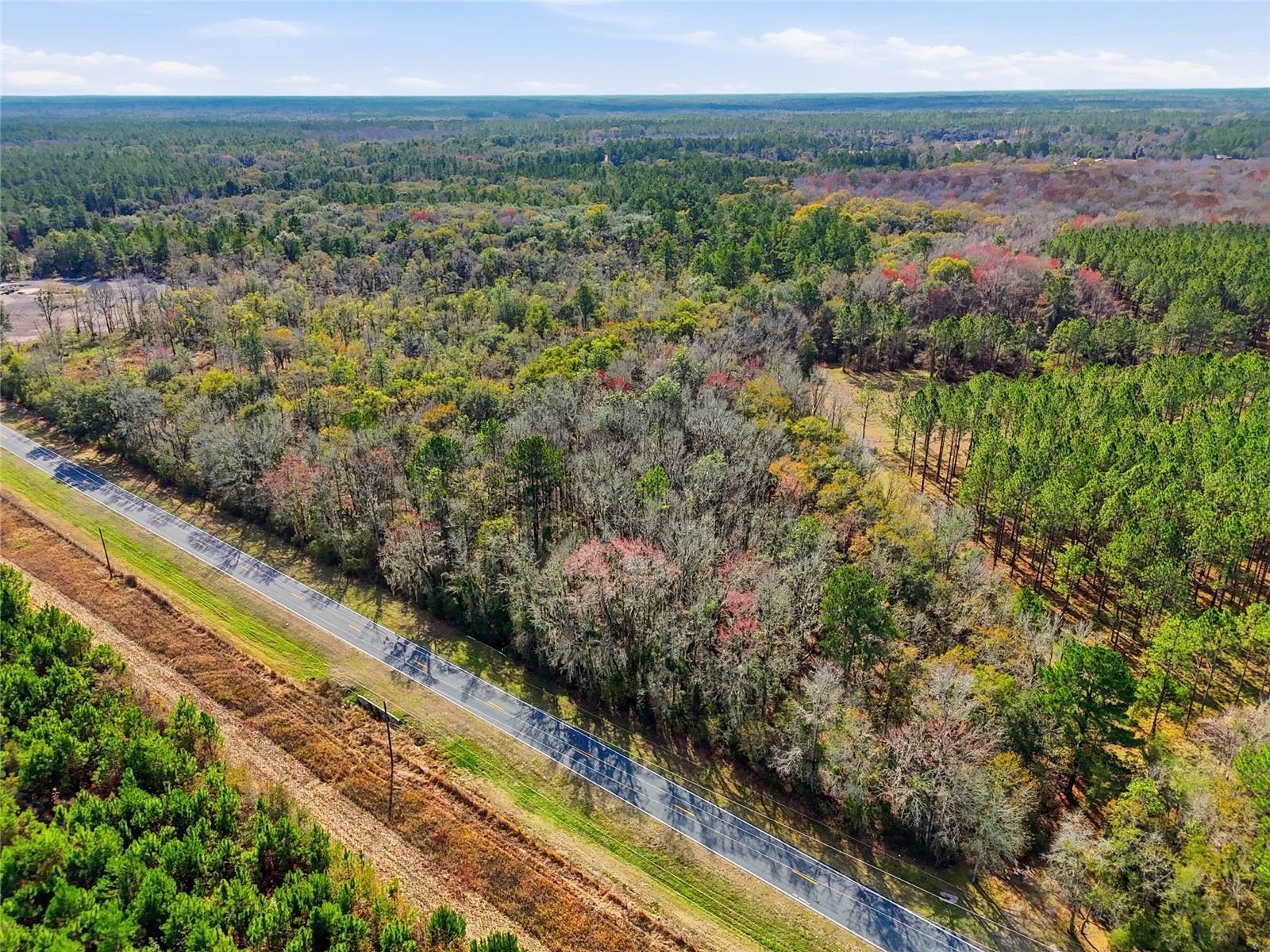 20994 SW COUNTY ROAD 18 #Lot 2, BROOKER, FL, 32622