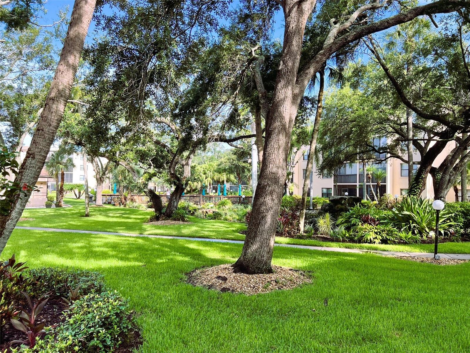 425 30TH AVE W #C309, BRADENTON, FL, 34205