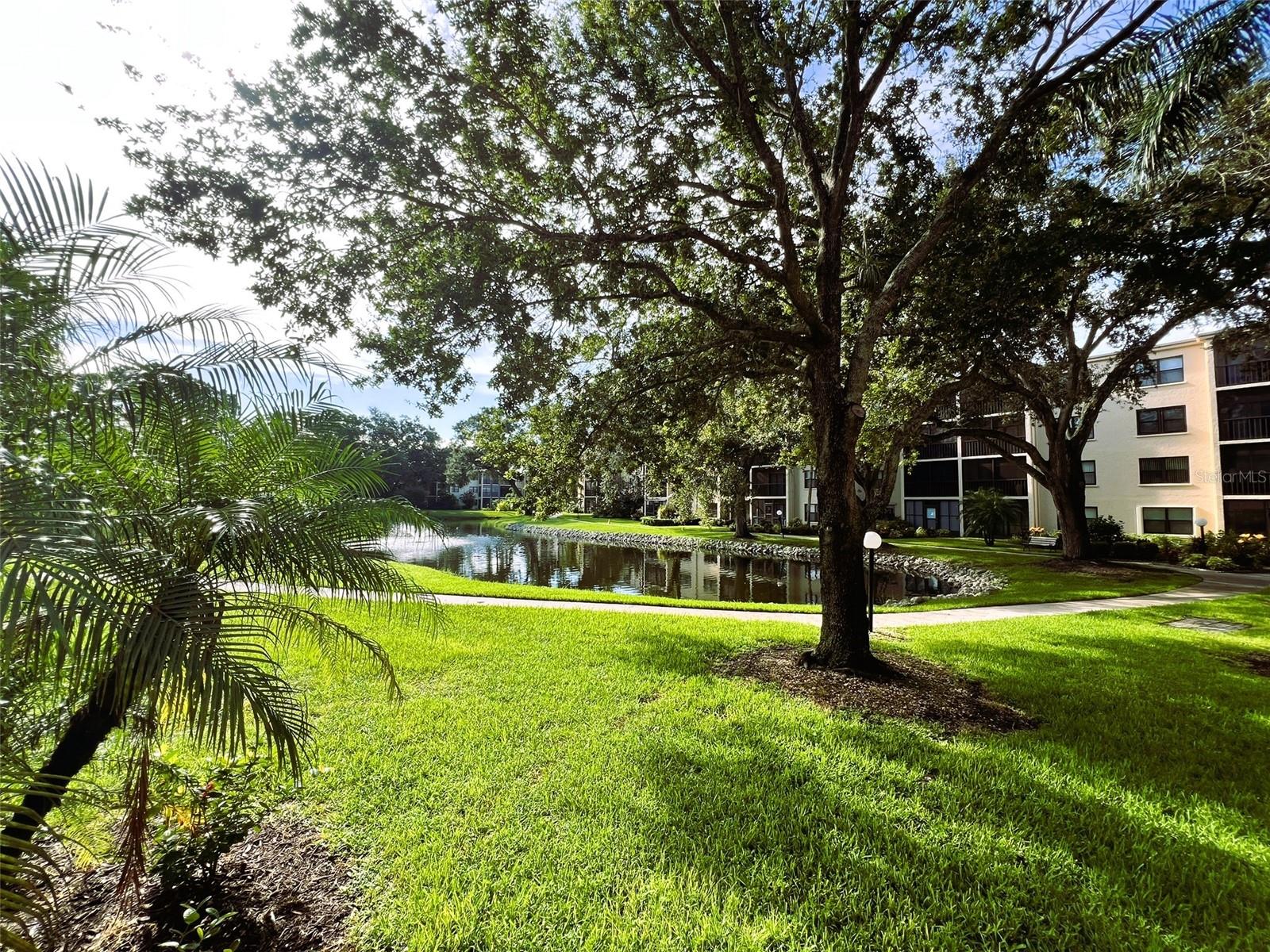 425 30TH AVE W #C309, BRADENTON, FL, 34205