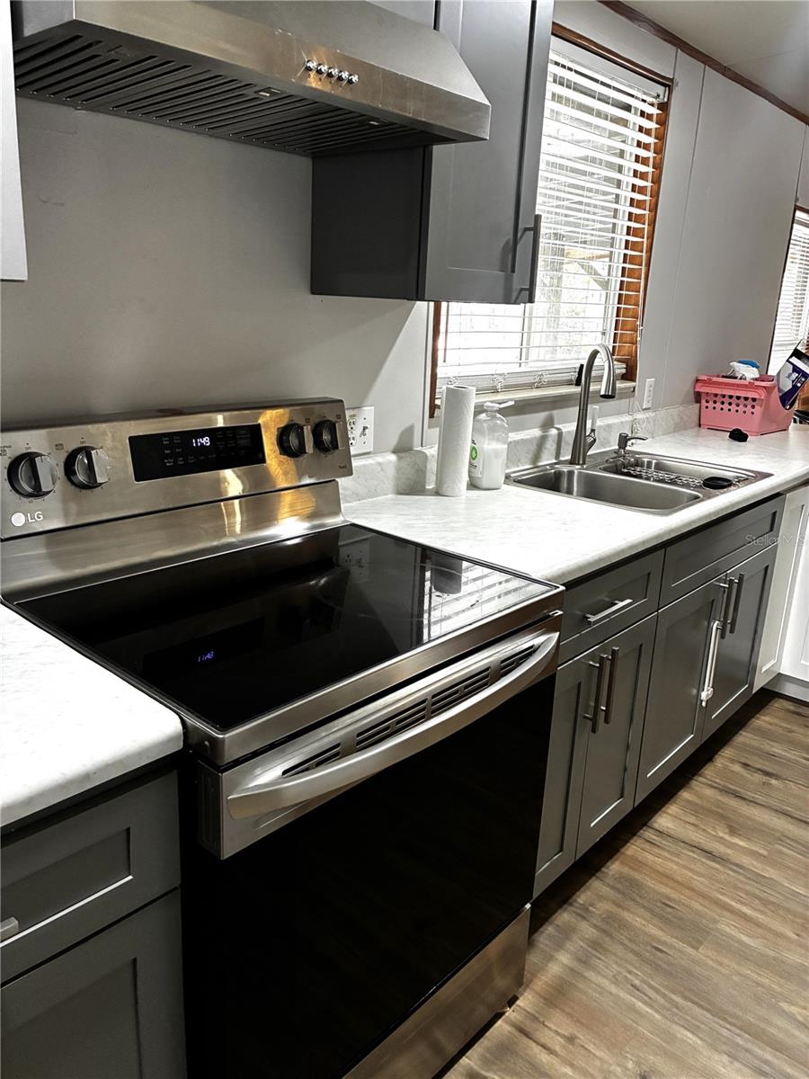 24427 WILD TURKEY RD, PAISLEY, FL, 32767