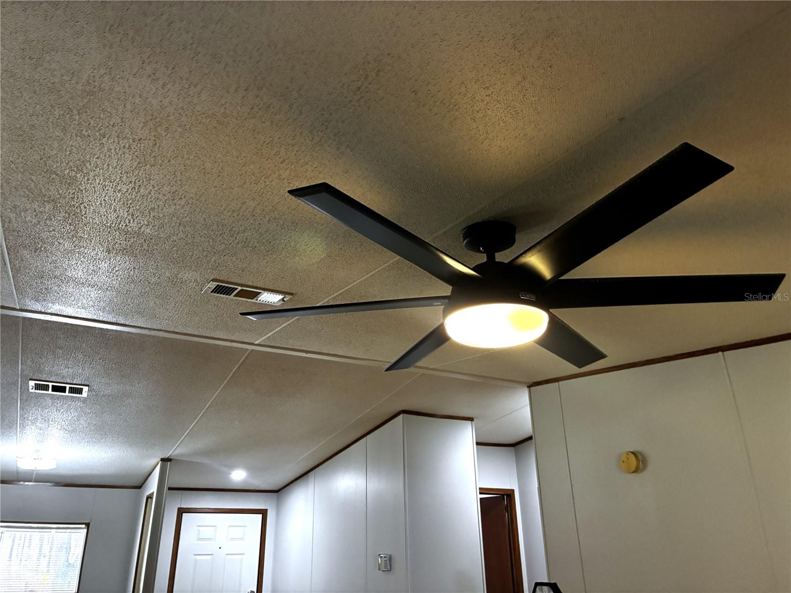 24427 WILD TURKEY RD, PAISLEY, FL, 32767