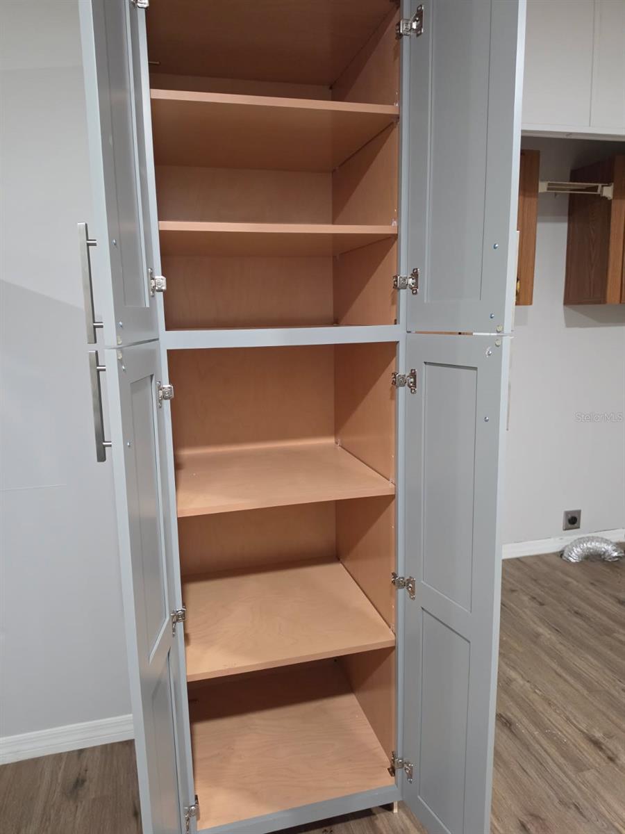 24427 WILD TURKEY RD, PAISLEY, FL, 32767