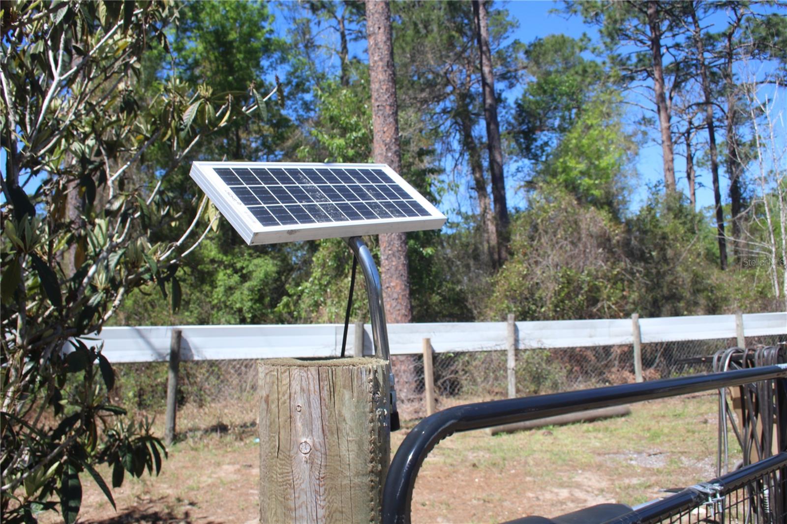 24427 WILD TURKEY RD, PAISLEY, FL, 32767