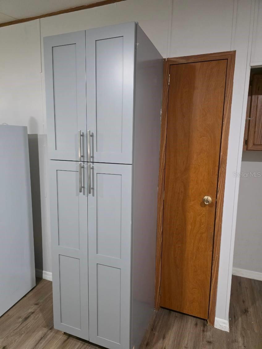 24427 WILD TURKEY RD, PAISLEY, FL, 32767