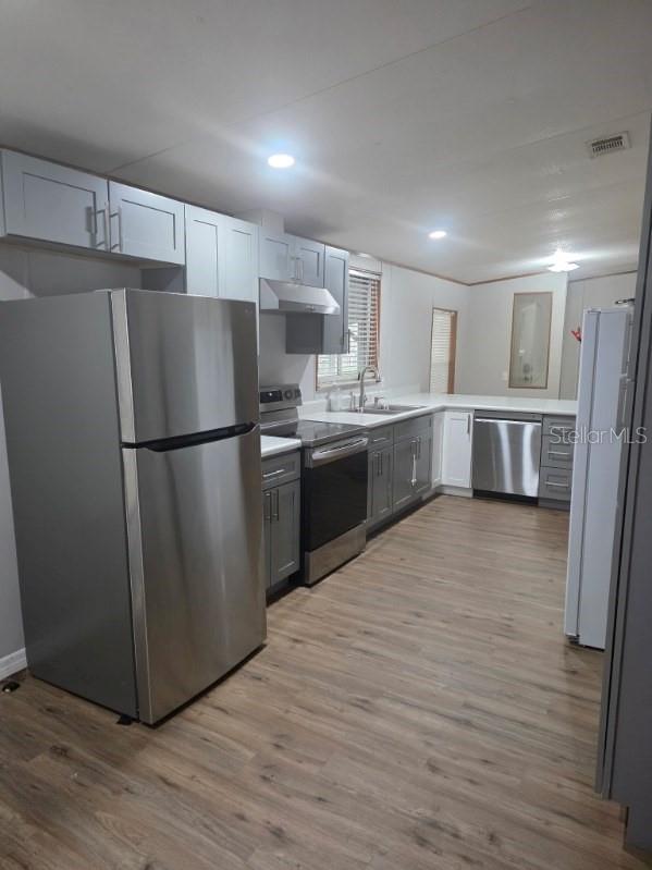 24427 WILD TURKEY RD, PAISLEY, FL, 32767