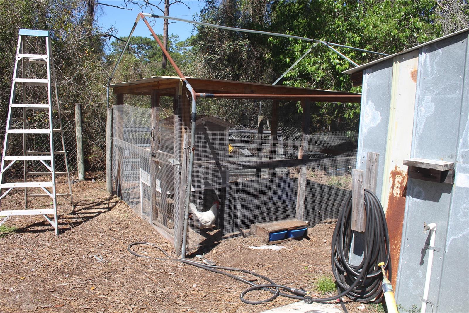 24427 WILD TURKEY RD, PAISLEY, FL, 32767