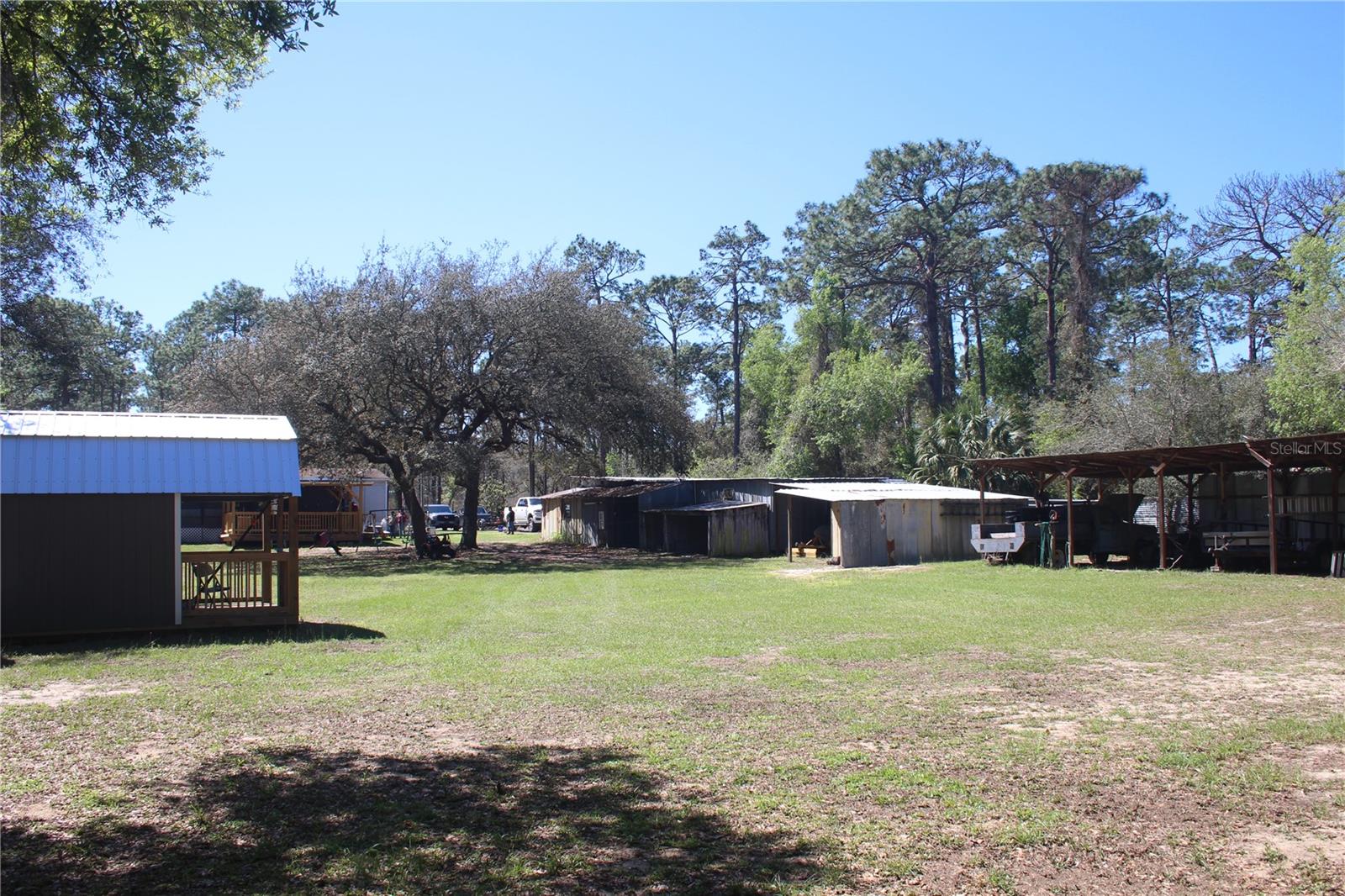 24427 WILD TURKEY RD, PAISLEY, FL, 32767