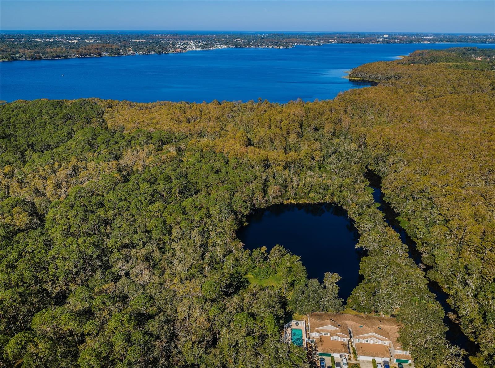 3164 BROOKER CREEK WAY, PALM HARBOR, FL, 34685