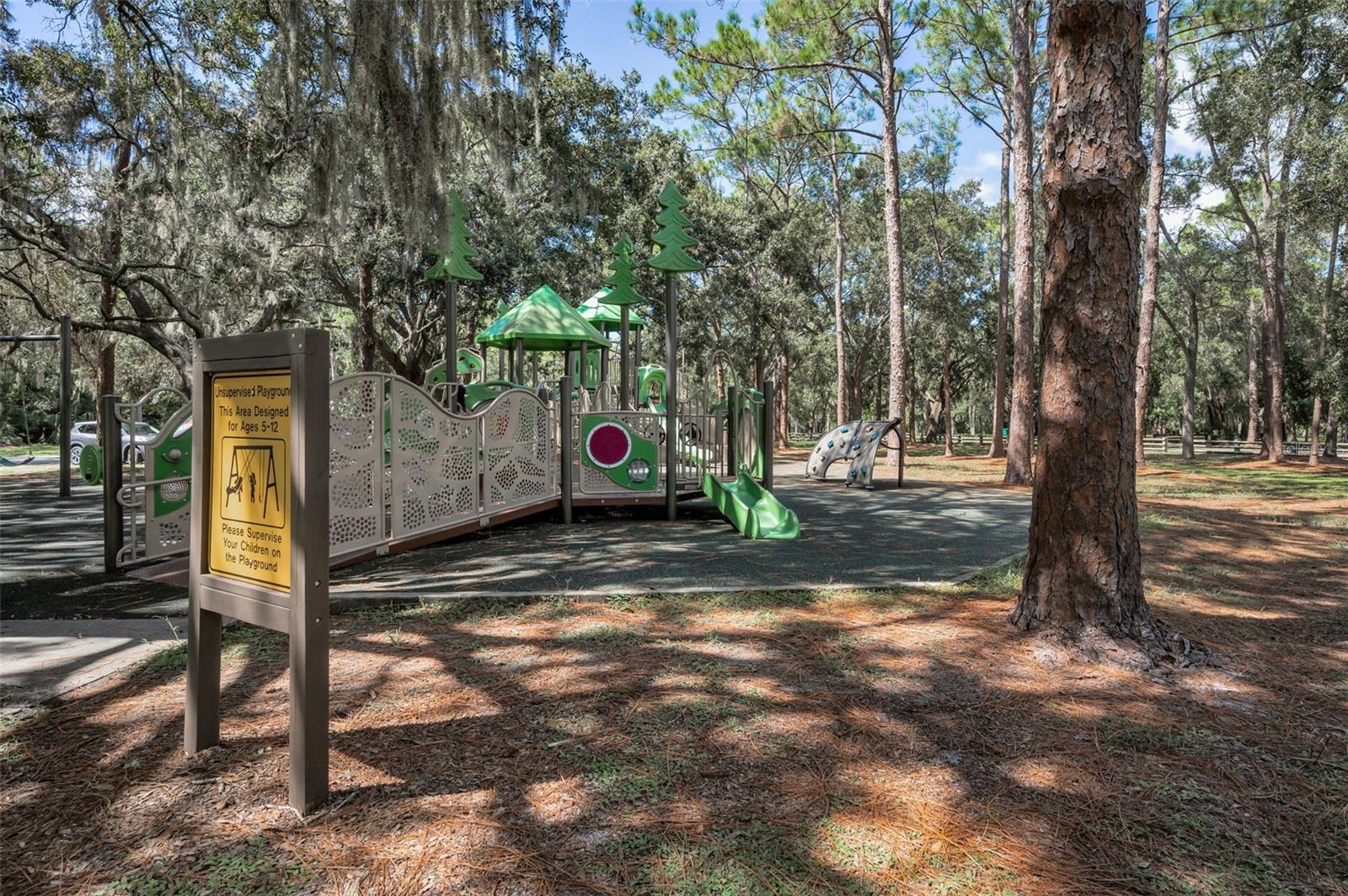 3164 BROOKER CREEK WAY, PALM HARBOR, FL, 34685