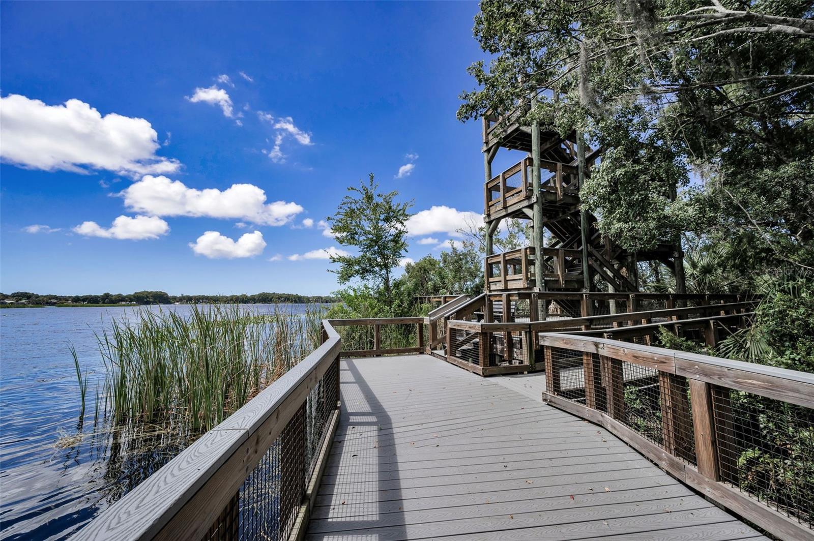 3164 BROOKER CREEK WAY, PALM HARBOR, FL, 34685