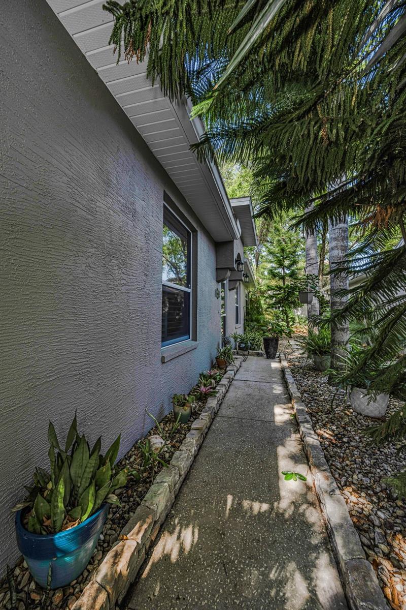 3164 BROOKER CREEK WAY, PALM HARBOR, FL, 34685