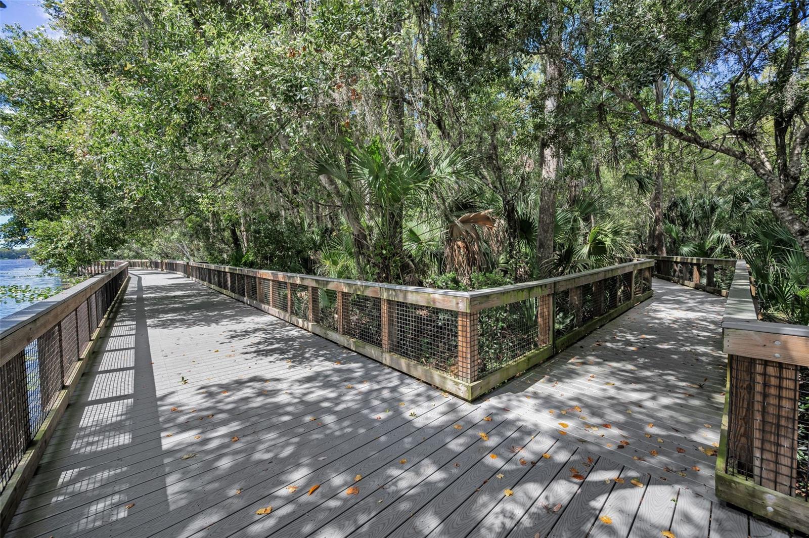 3164 BROOKER CREEK WAY, PALM HARBOR, FL, 34685