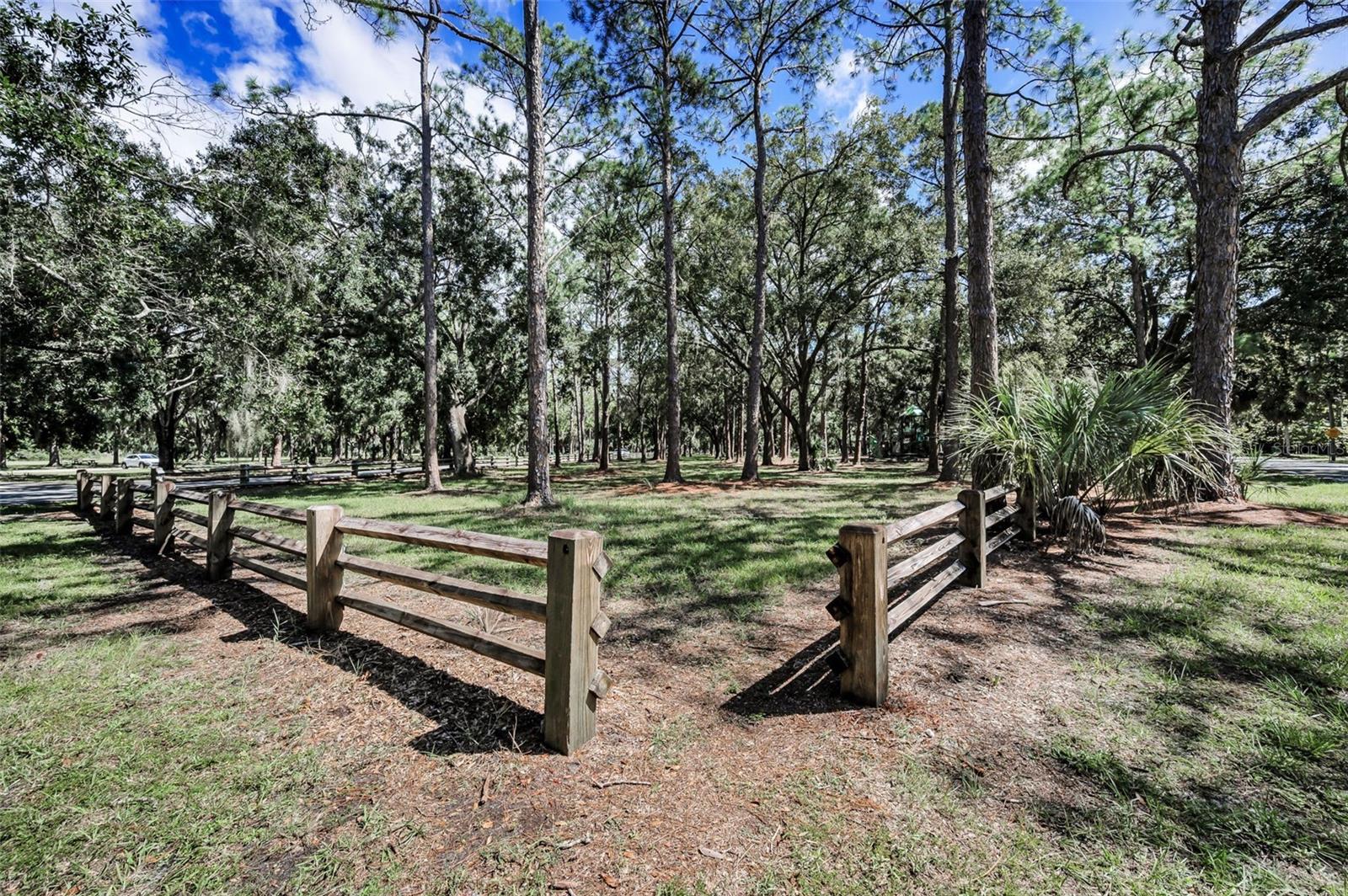3164 BROOKER CREEK WAY, PALM HARBOR, FL, 34685