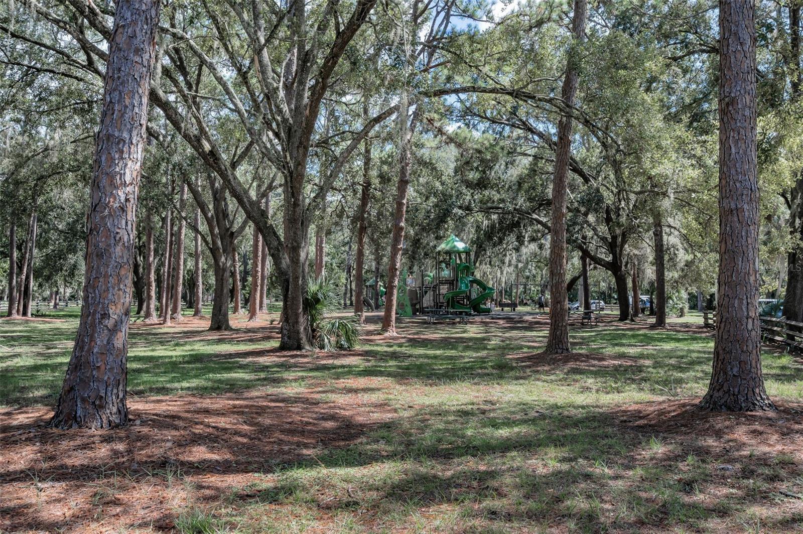 3164 BROOKER CREEK WAY, PALM HARBOR, FL, 34685