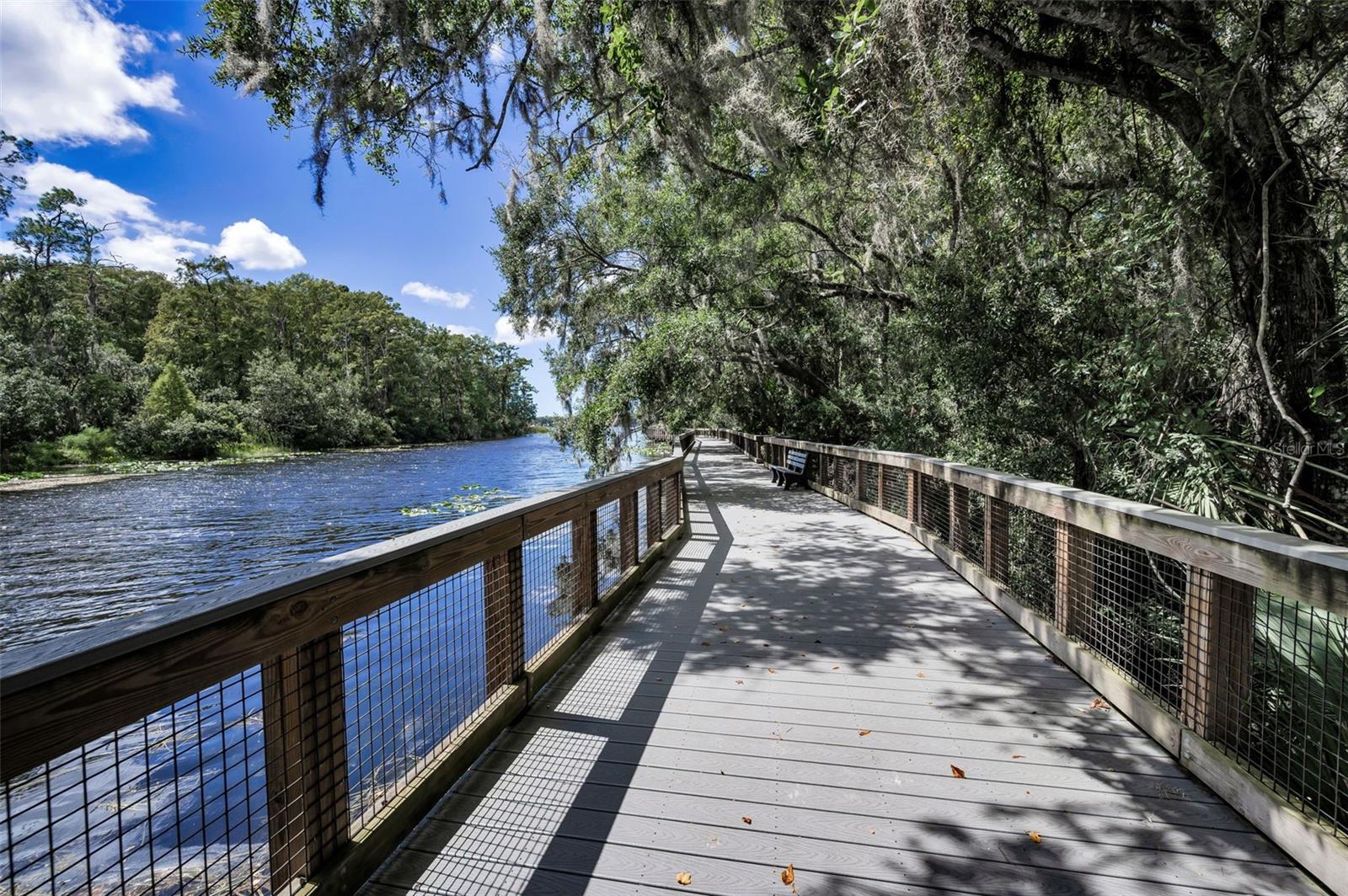 3164 BROOKER CREEK WAY, PALM HARBOR, FL, 34685