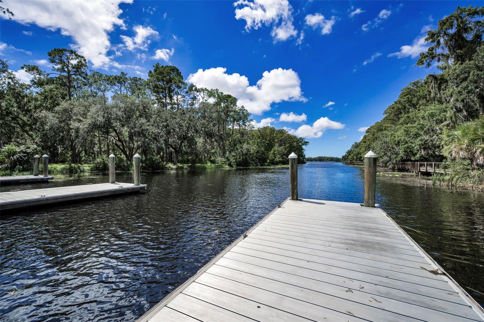 3164 BROOKER CREEK WAY, PALM HARBOR, FL, 34685