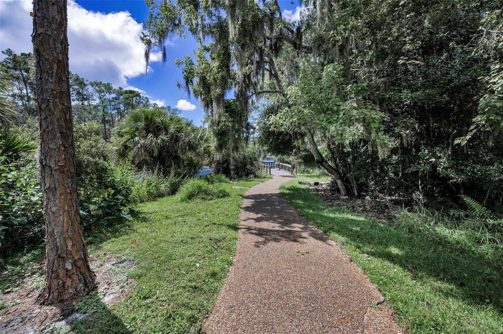 3164 BROOKER CREEK WAY, PALM HARBOR, FL, 34685