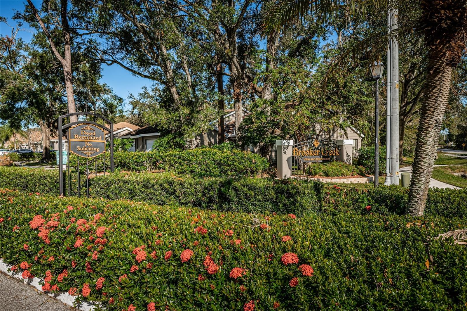 3164 BROOKER CREEK WAY, PALM HARBOR, FL, 34685