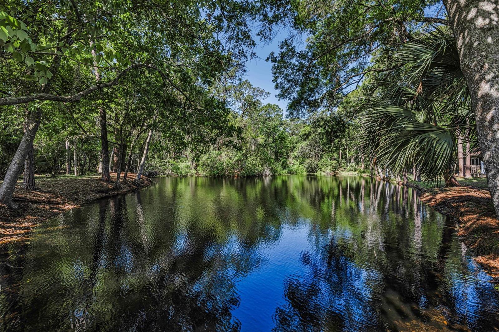 3164 BROOKER CREEK WAY, PALM HARBOR, FL, 34685