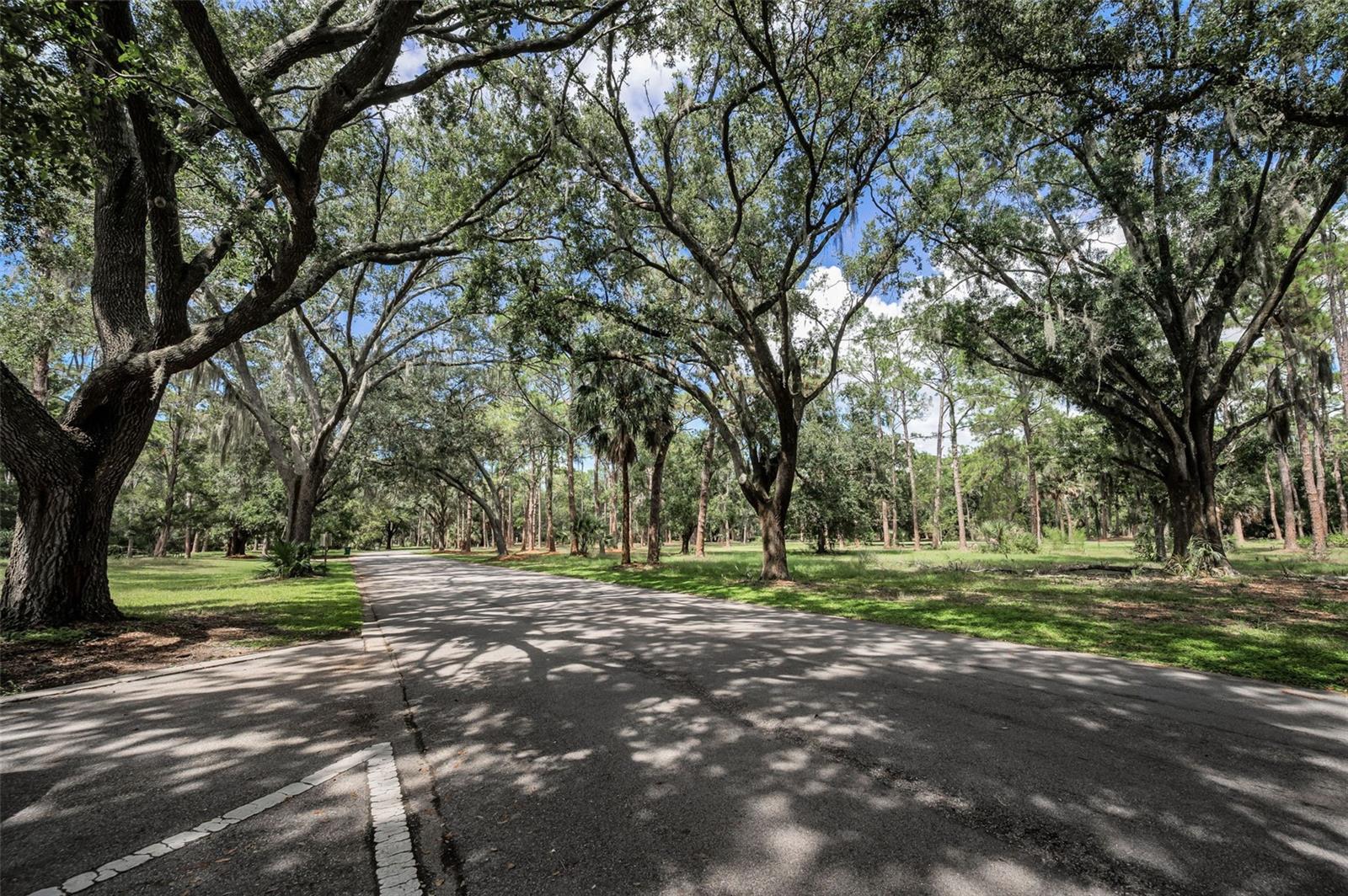 3164 BROOKER CREEK WAY, PALM HARBOR, FL, 34685