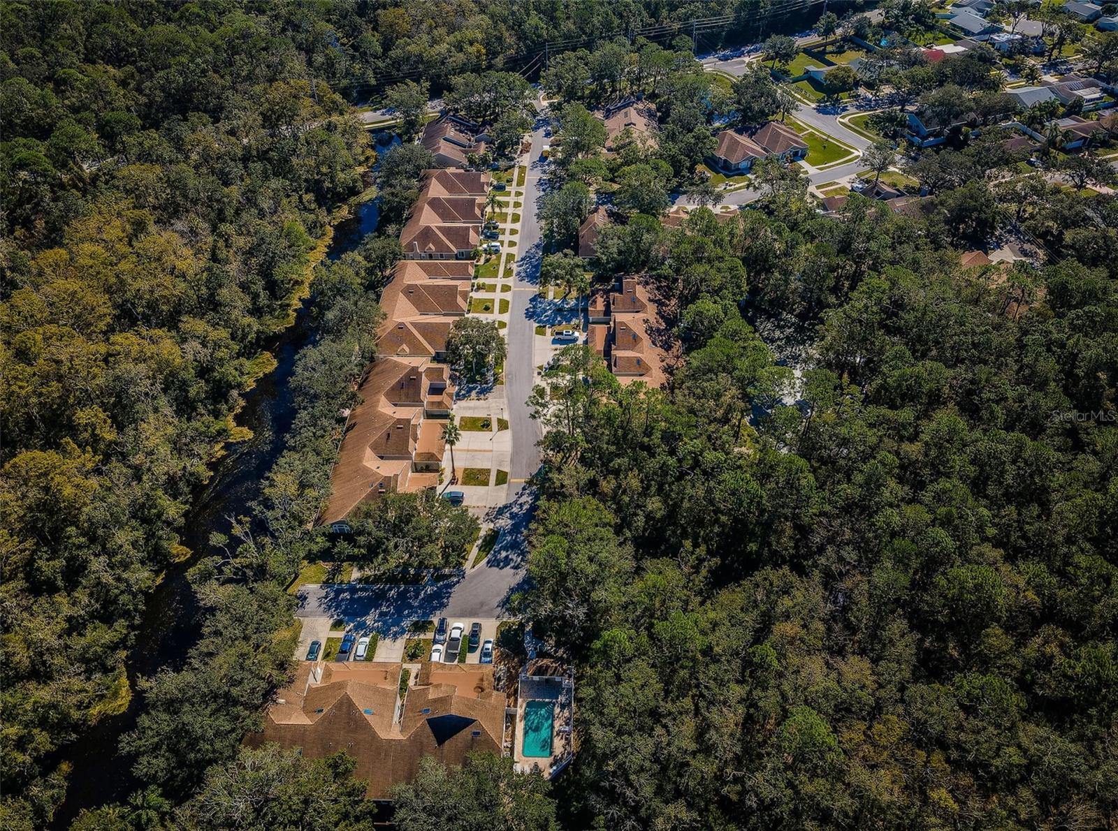 3164 BROOKER CREEK WAY, PALM HARBOR, FL, 34685