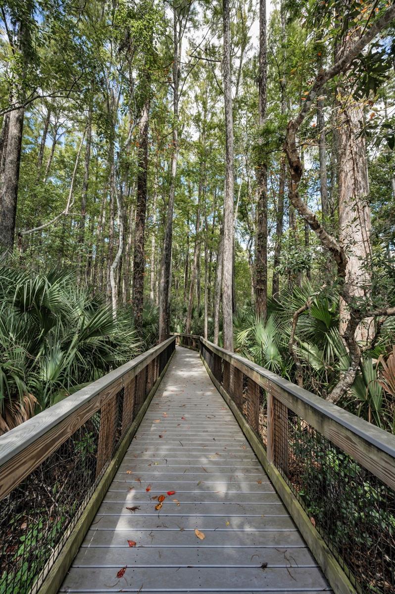 3164 BROOKER CREEK WAY, PALM HARBOR, FL, 34685