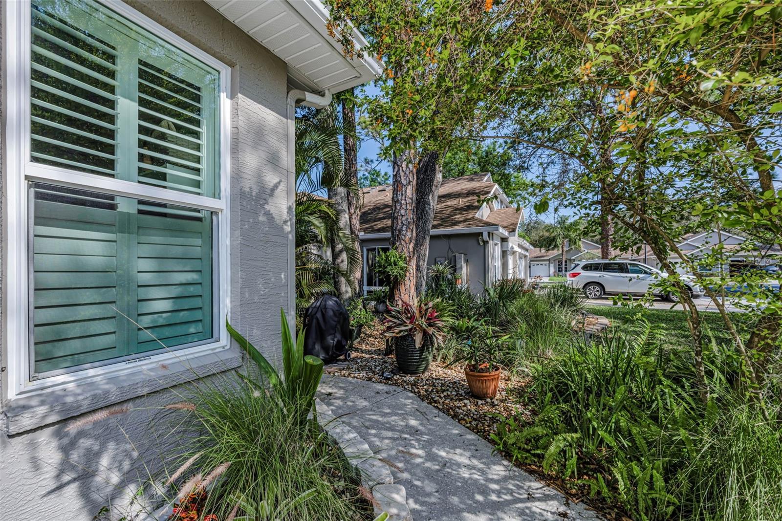 3164 BROOKER CREEK WAY, PALM HARBOR, FL, 34685