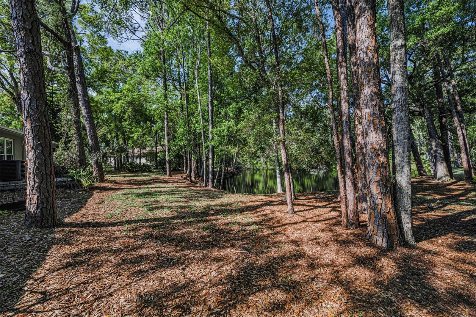 3164 BROOKER CREEK WAY, PALM HARBOR, FL, 34685