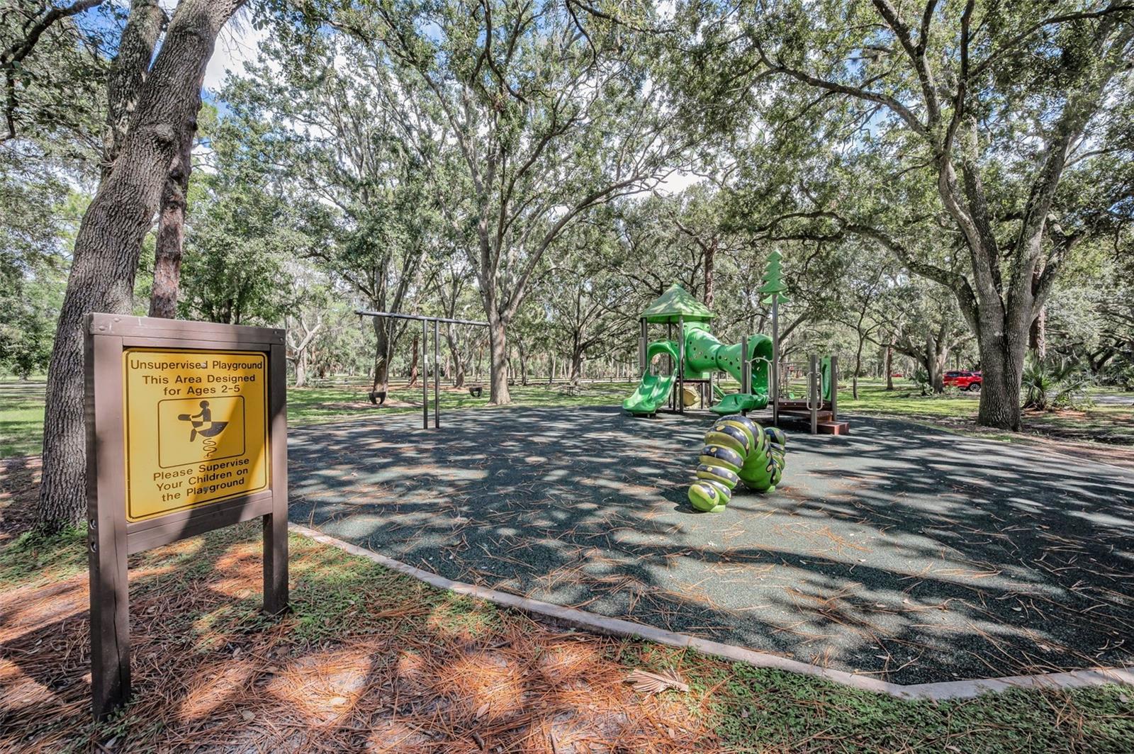 3164 BROOKER CREEK WAY, PALM HARBOR, FL, 34685