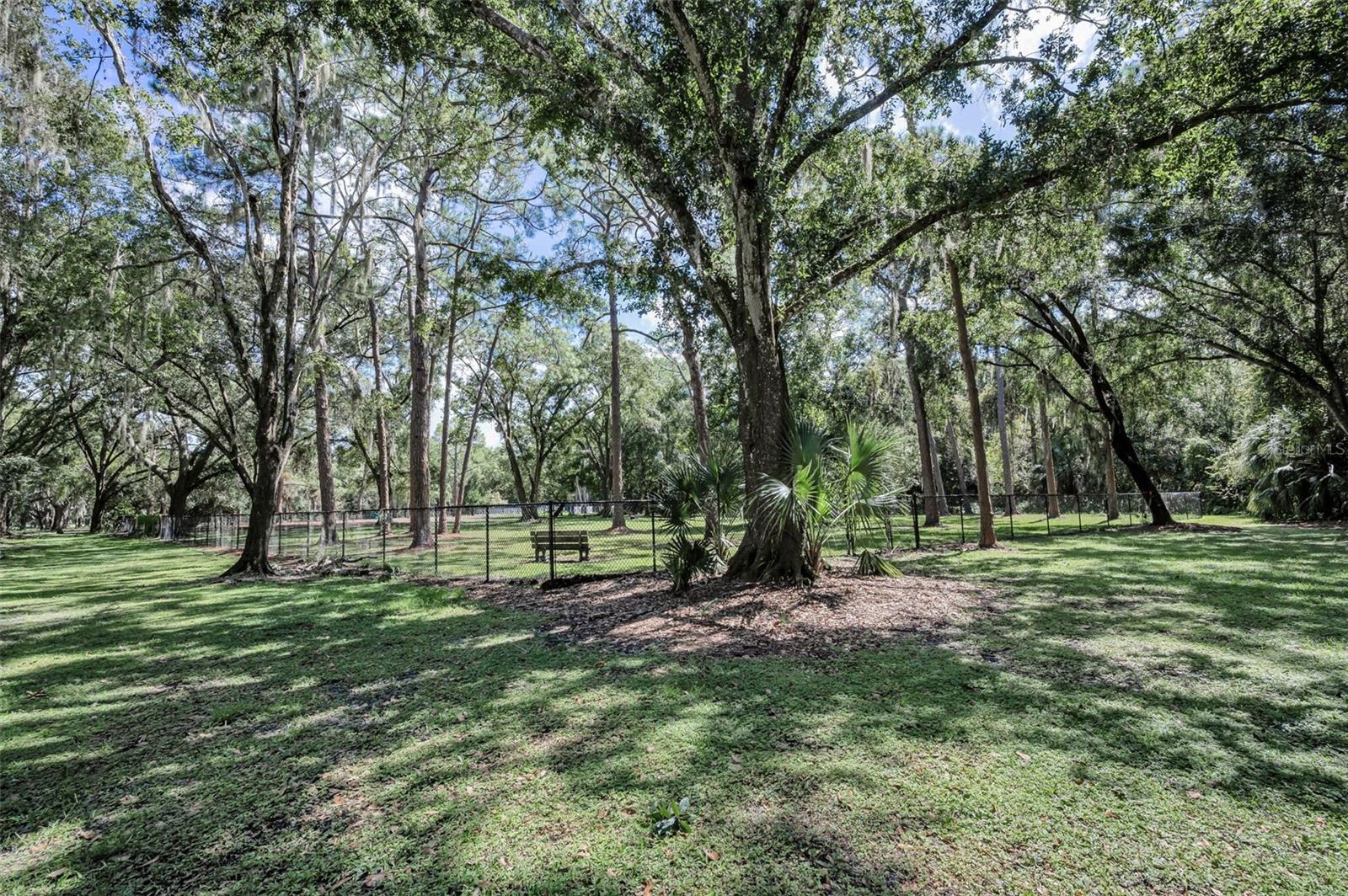 3164 BROOKER CREEK WAY, PALM HARBOR, FL, 34685