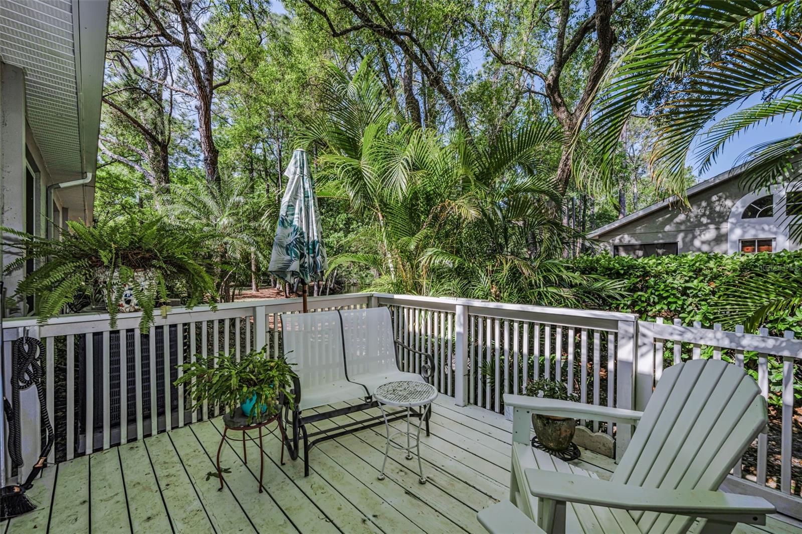 3164 BROOKER CREEK WAY, PALM HARBOR, FL, 34685