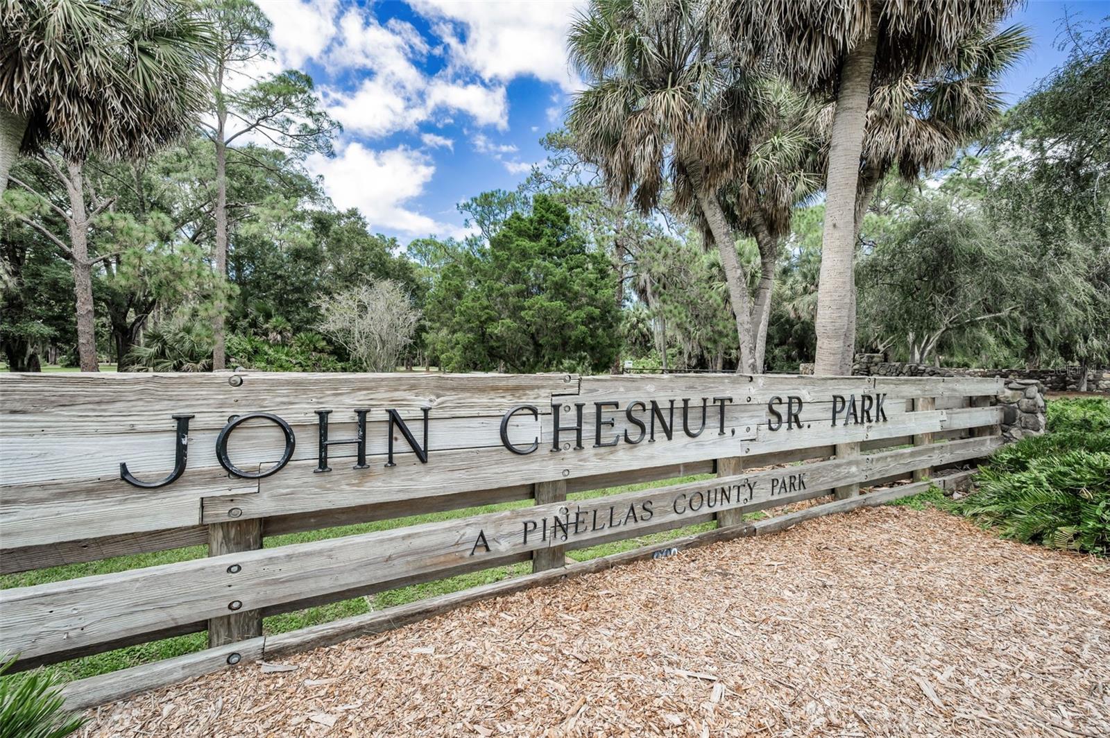 3164 BROOKER CREEK WAY, PALM HARBOR, FL, 34685
