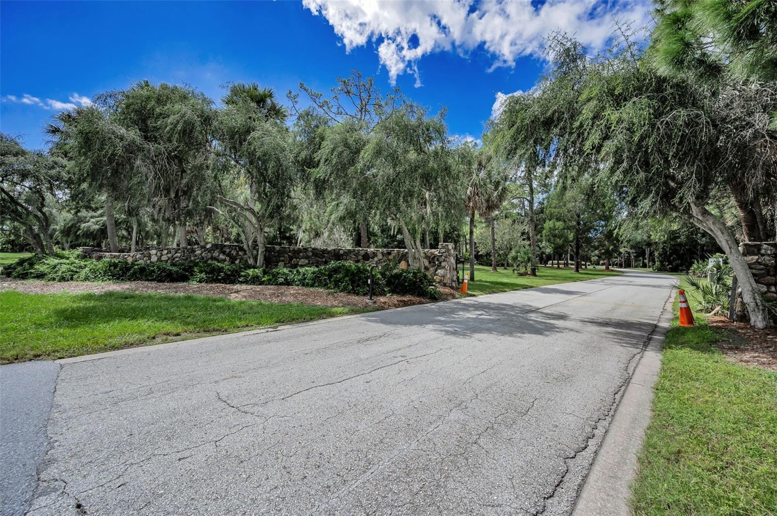 3164 BROOKER CREEK WAY, PALM HARBOR, FL, 34685